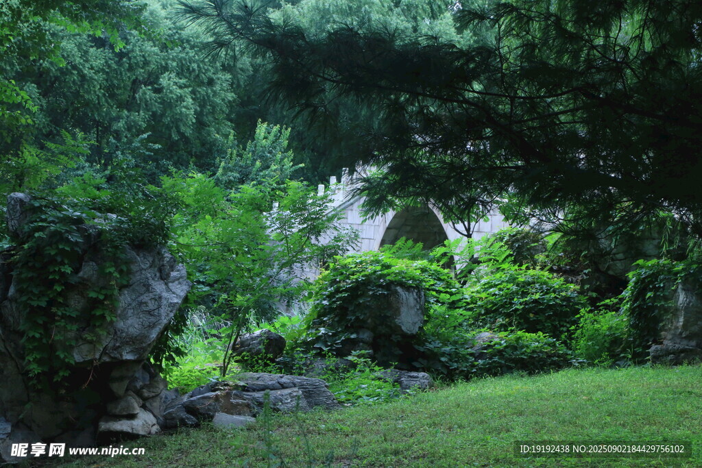 公园风景  