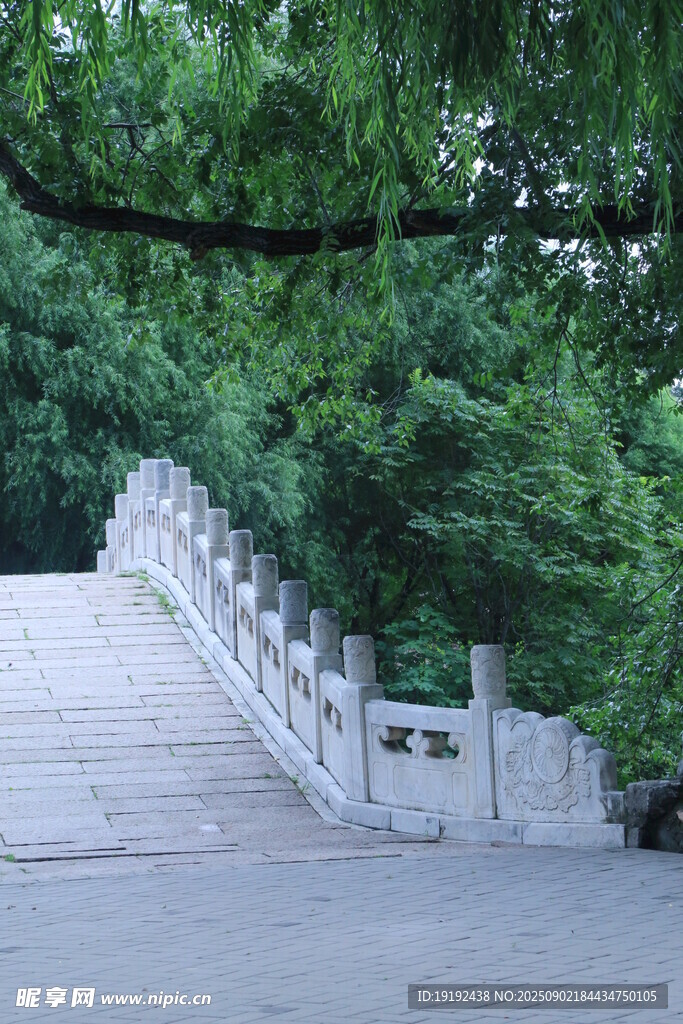 公园风景 