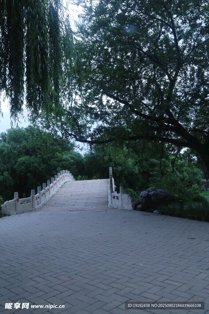 公园风景  