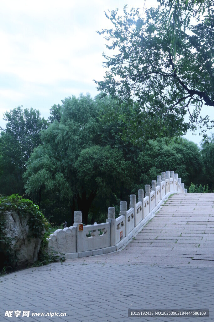 公园风景