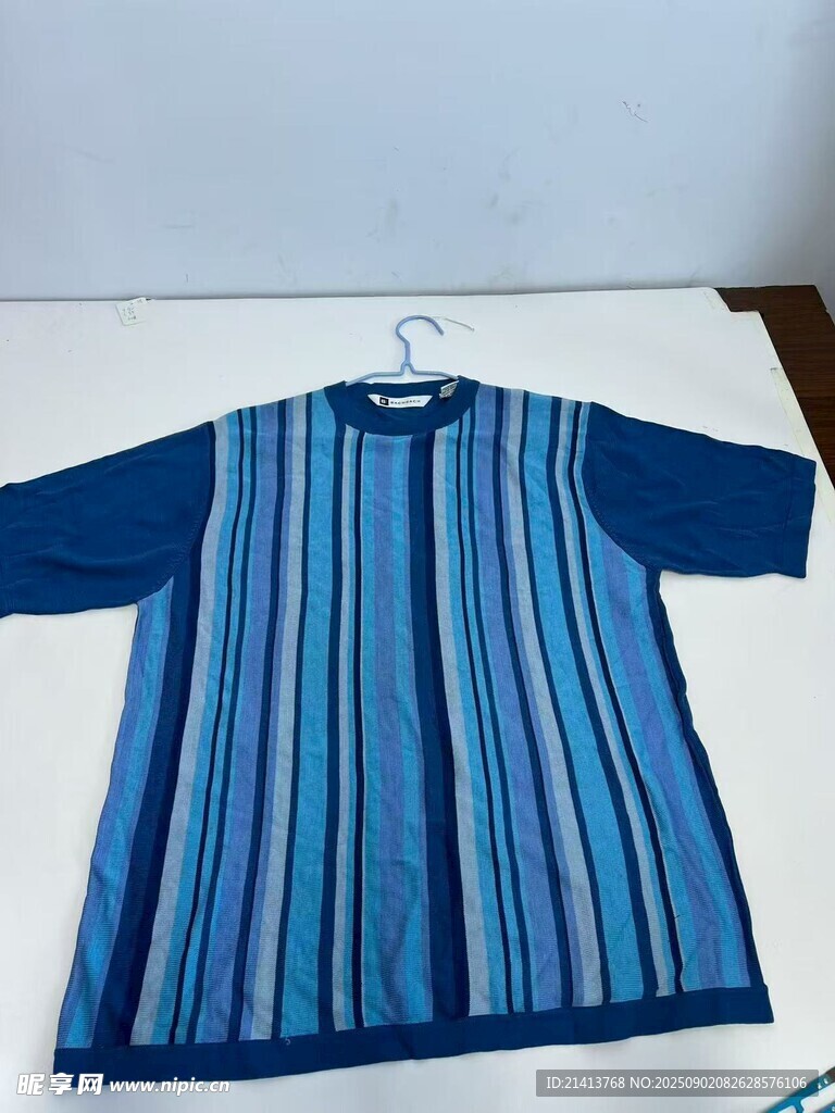 蓝条纹短袖上衣展示