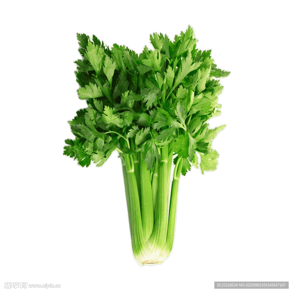 芹菜