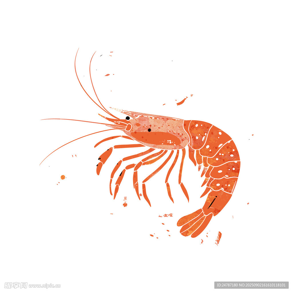 手绘对虾