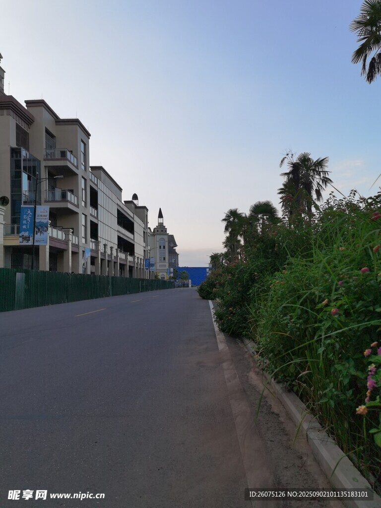 街道旁的楼房与绿植景观