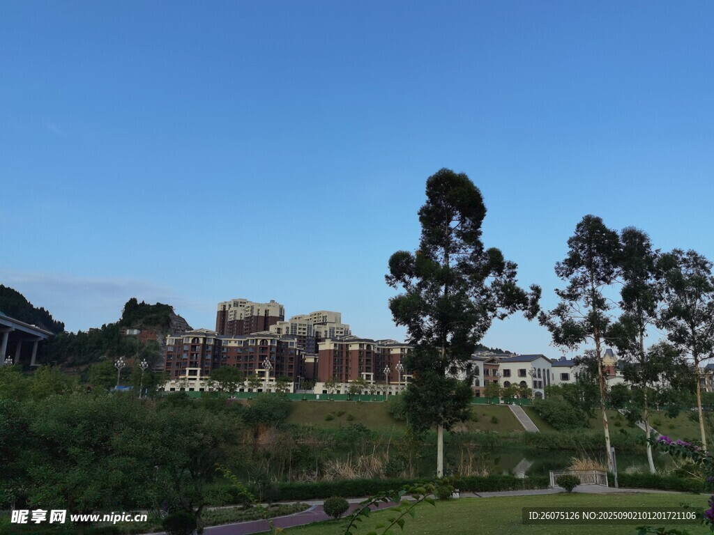 户外美丽公园与远处建筑景致