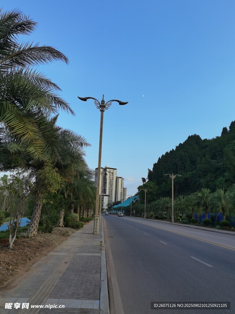 宽阔公路旁的绿树与路灯