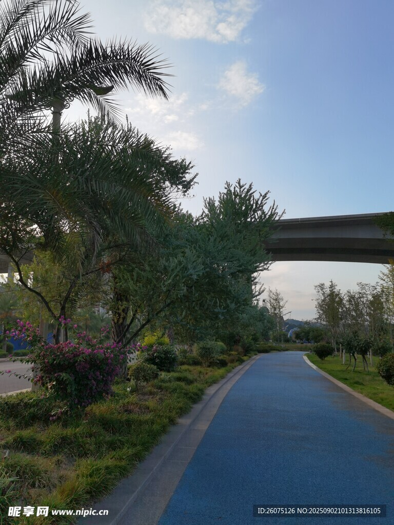 城市中美丽的林荫步道