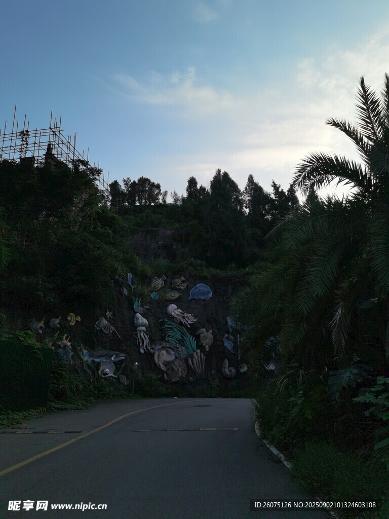 黄昏下的林间道路