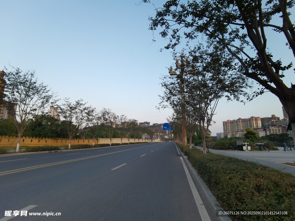 宽阔公路旁的树木与蓝天