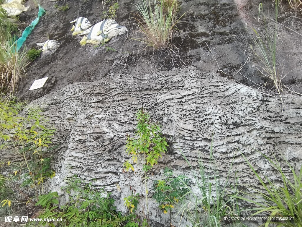 山坡岩石与嫩绿植物