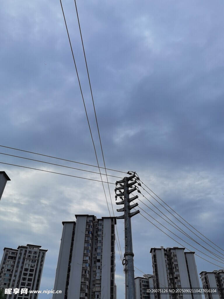 城市上空的电线与高楼