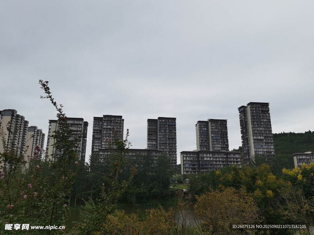 城市高楼与周边绿植景观
