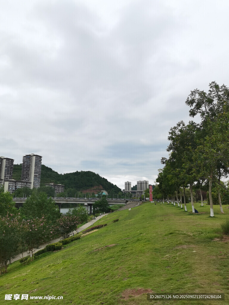 河畔草地与远处城市景观