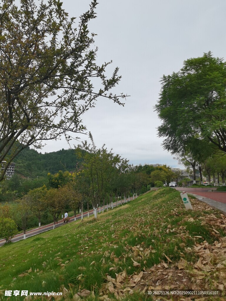 郊外绿意盎然的风景小路