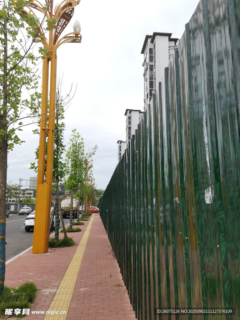城市街边的围栏与行道树