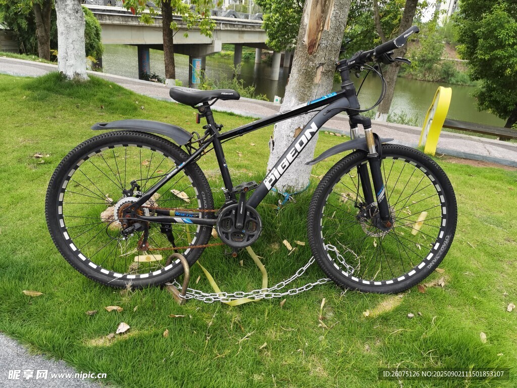 草地上铁链锁住的黑色山地自行车