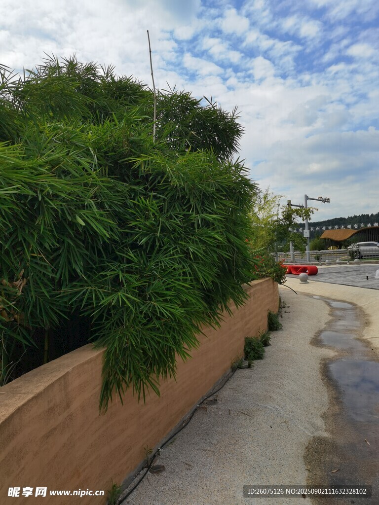 路边绿植与砖墙景观