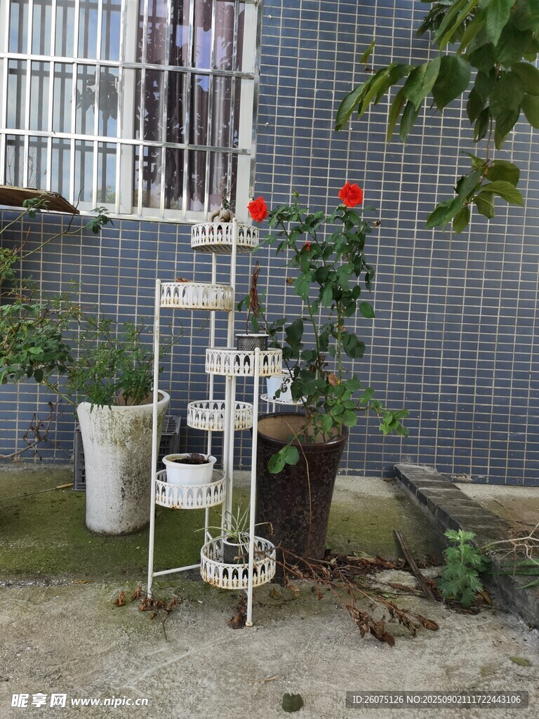 户外铁艺多层花架置物架
