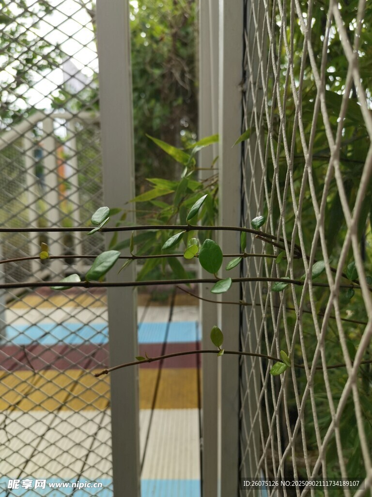 透过围栏看绿植与设施