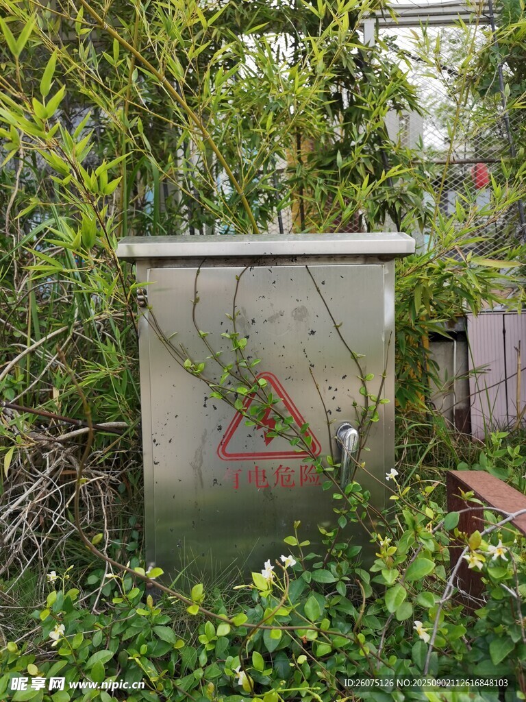 被绿植环绕的金属箱体