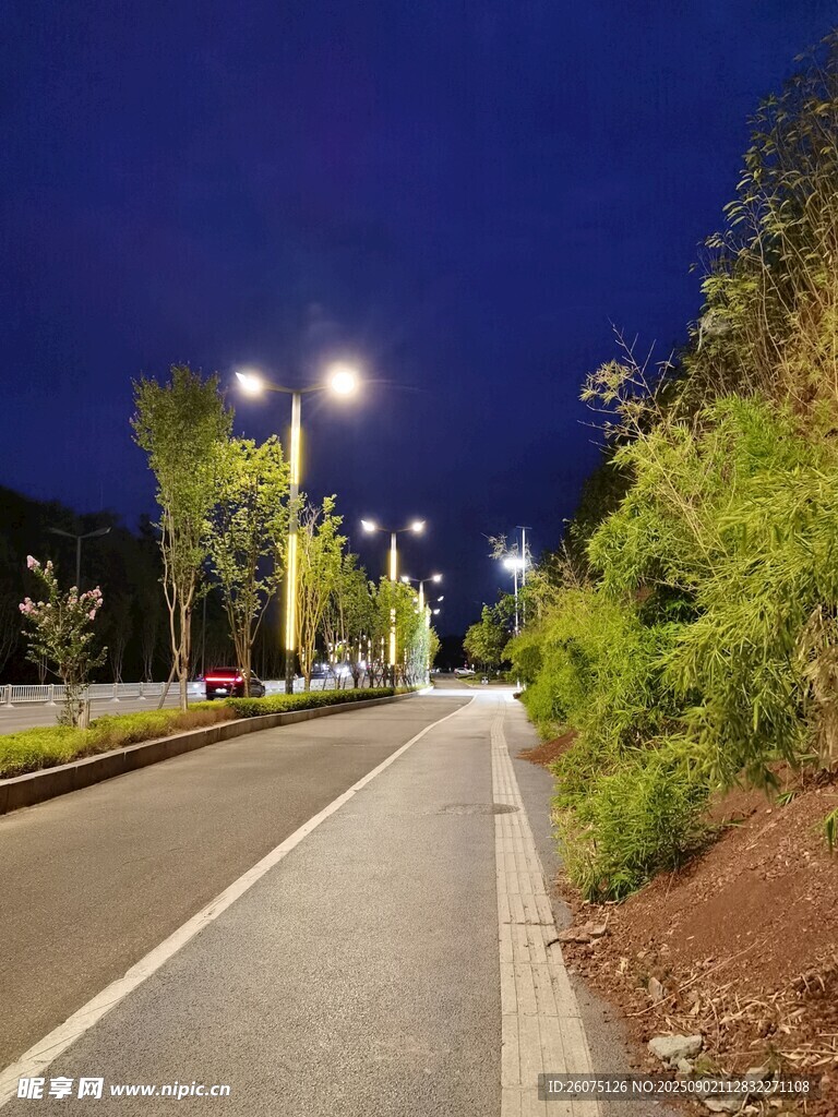 夜晚静谧的林荫骑行道