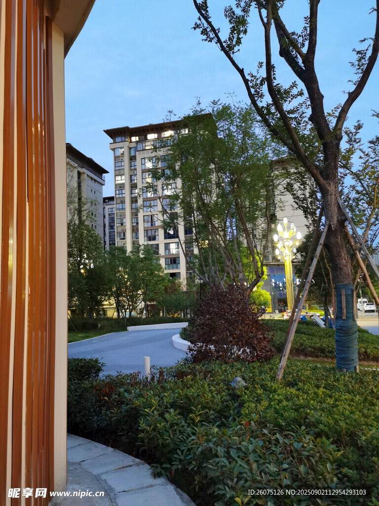 庭院绿植与远处建筑景观
