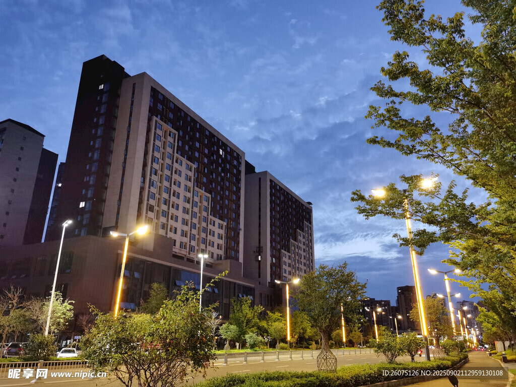 城市夜幕下的建筑与绿植