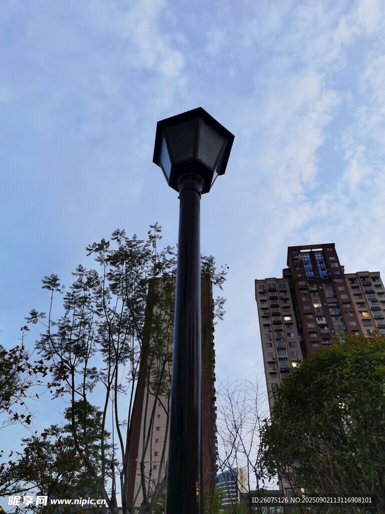 城市中的复古路灯与高楼