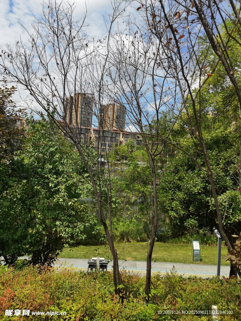 林间远望古老建筑景观