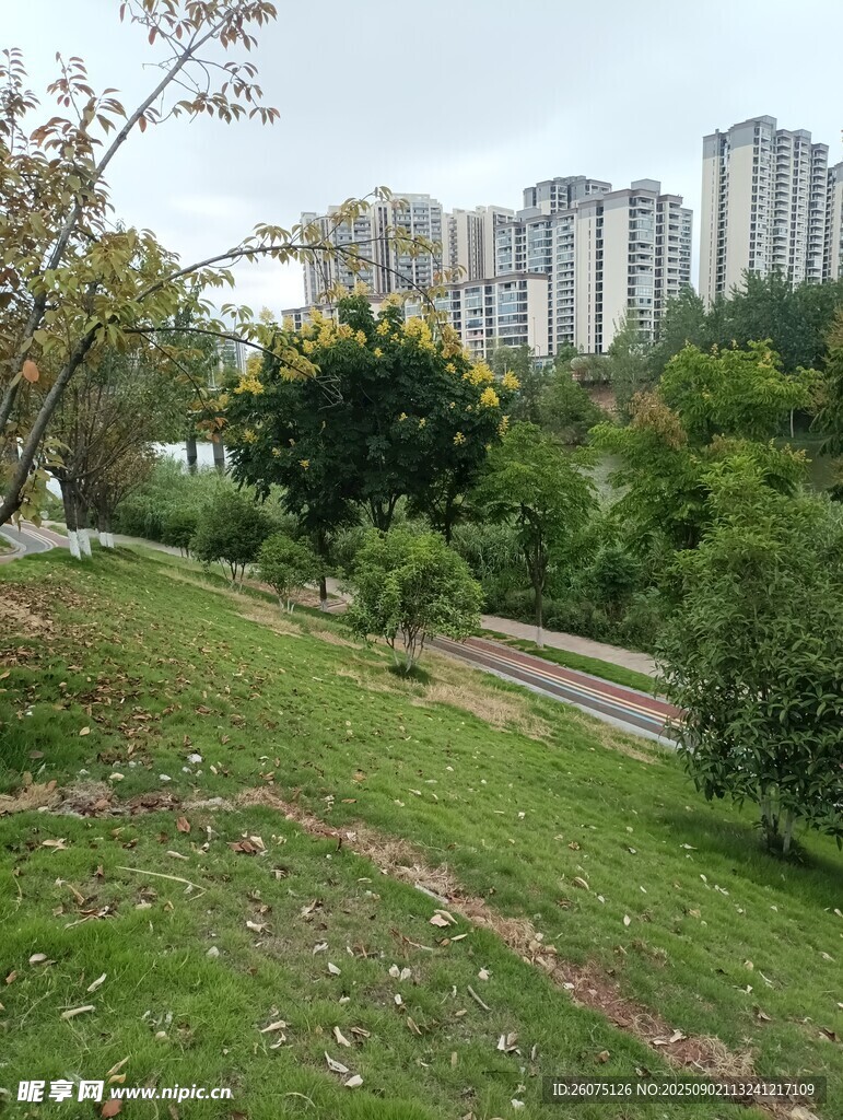 城市中的绿意小径
