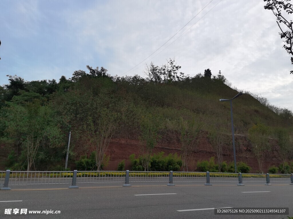 公路旁绿意盎然的山坡