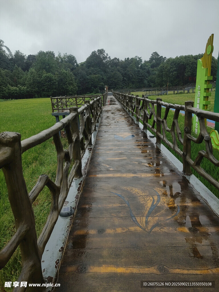雨中木栈道绿野风光