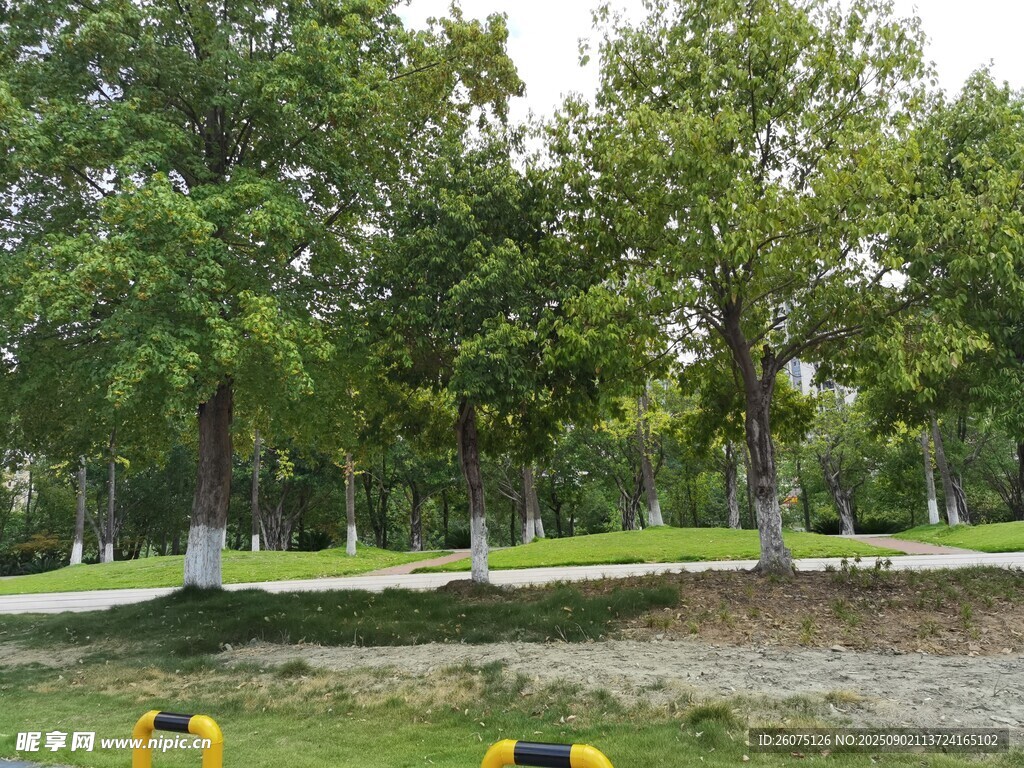 公园绿树成荫的休闲场景