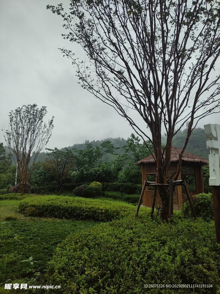 雨中静谧园林景观