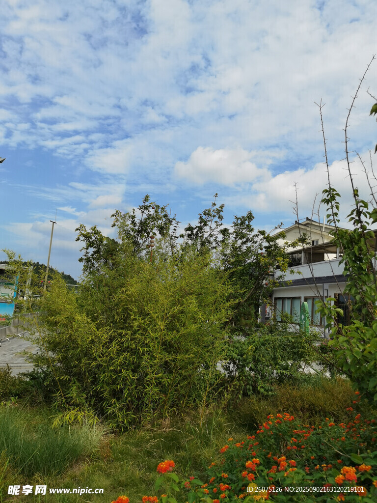 田园风光中的多彩景致