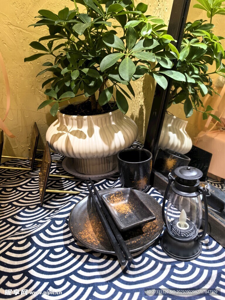 中式禅意茶室茶具绿植布置