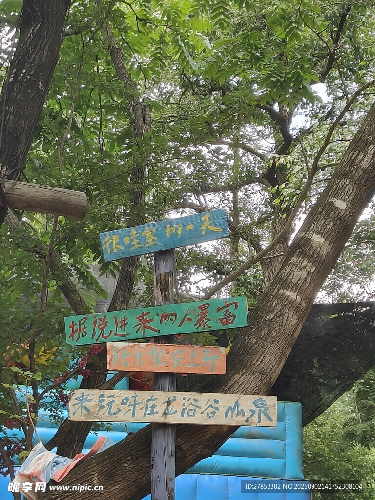 森林中的多彩指示路牌