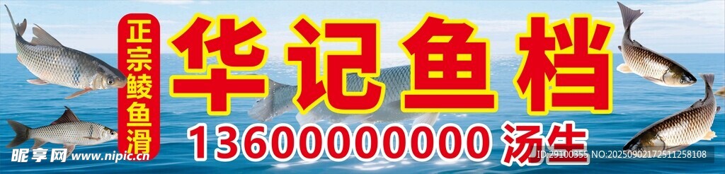 华记鱼档招牌展示