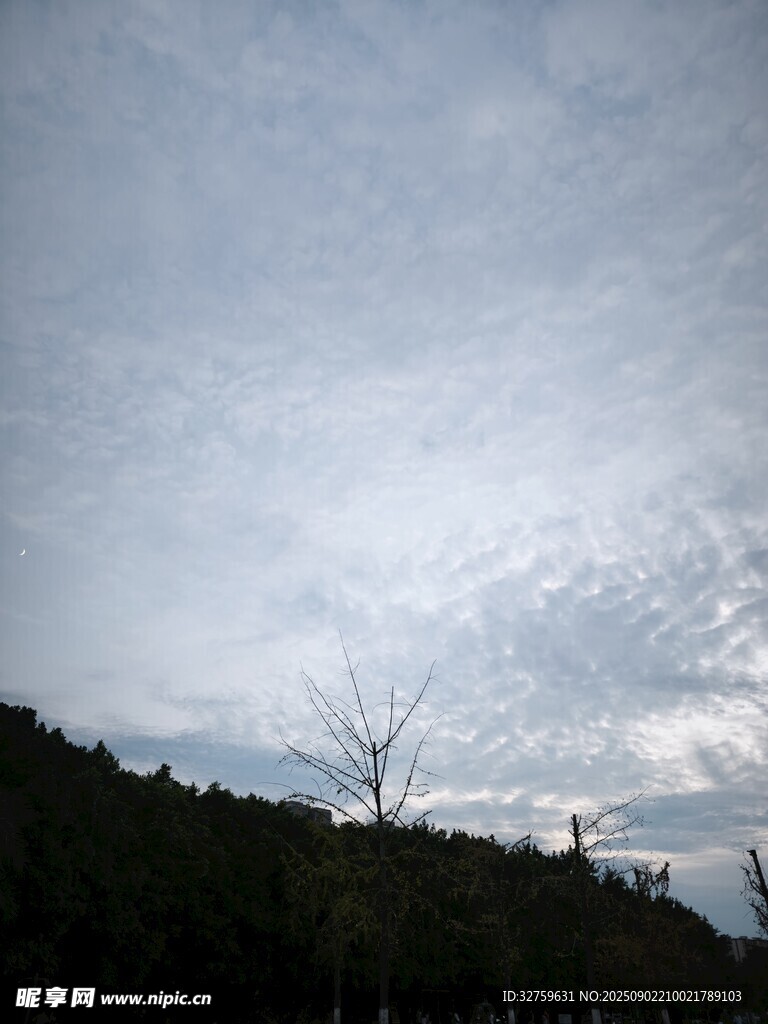 山间天空与稀疏树木景象