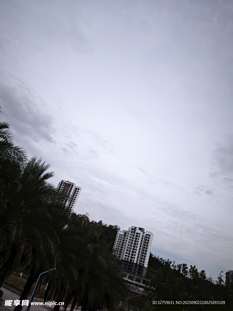 阴天城市景观与绿植