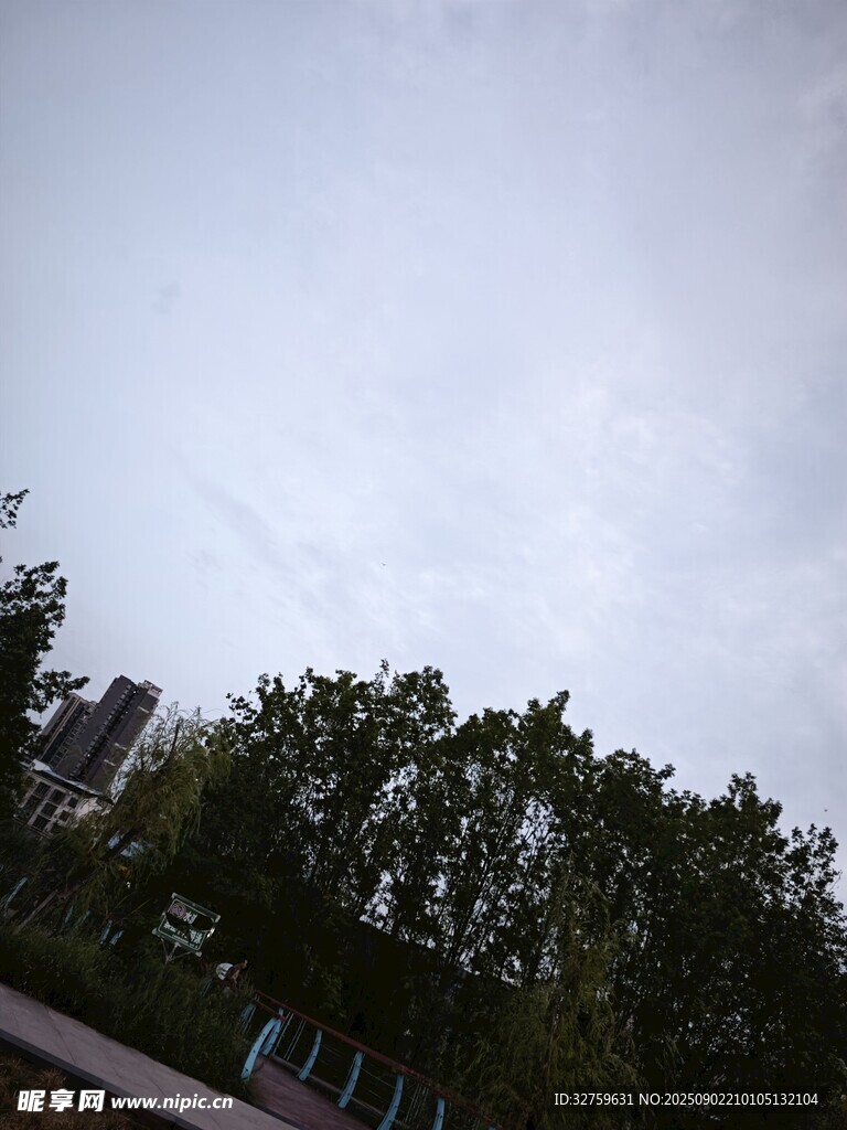 阴天时的树木与远处建筑