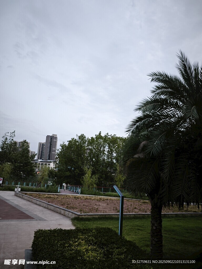 城市公园中的绿植景观