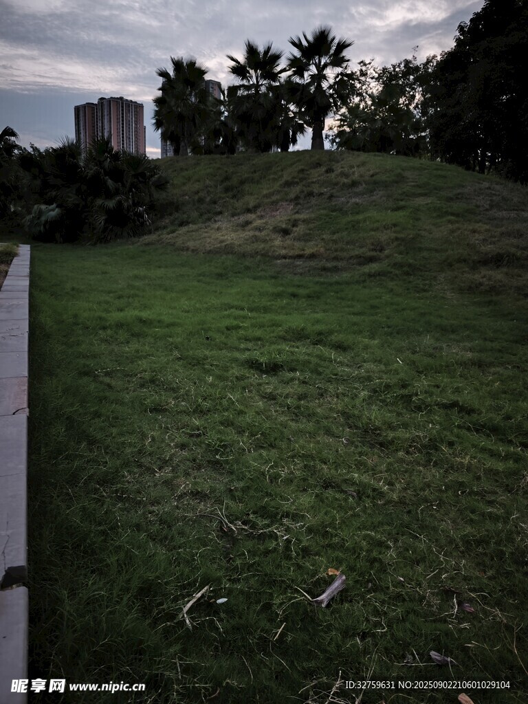 户外草地
