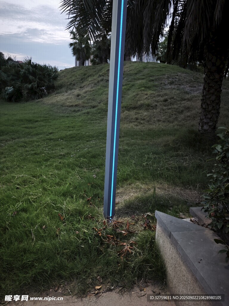 户外草地中的蓝色杆子