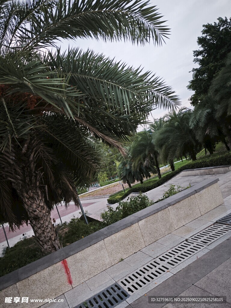 户外休闲绿植景观步道