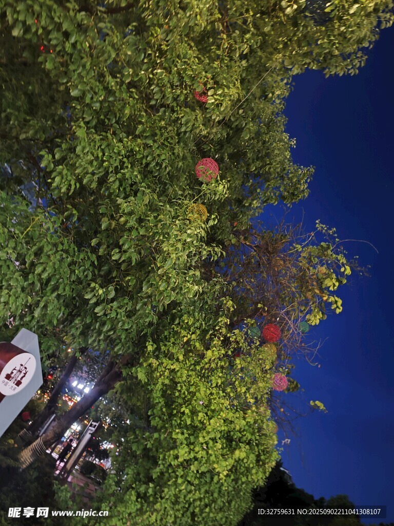林间露营场景