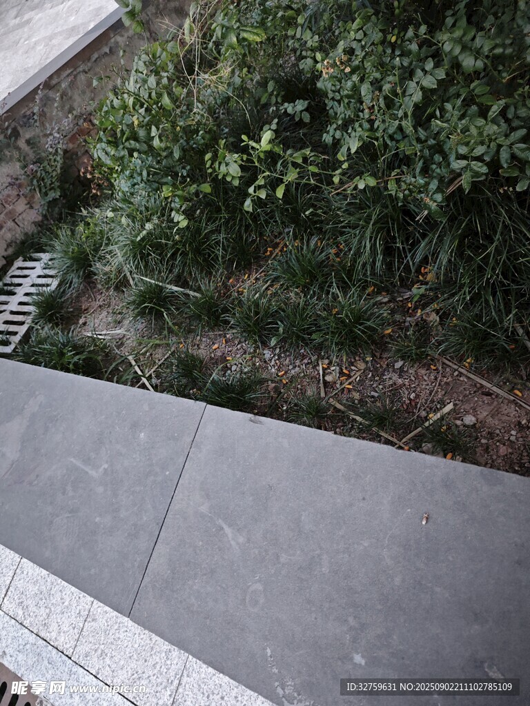 户外灰色台阶与绿植景观