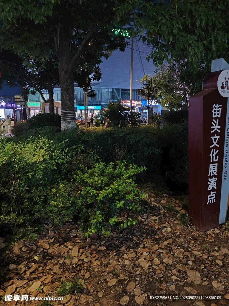 夜晚校园入口景观