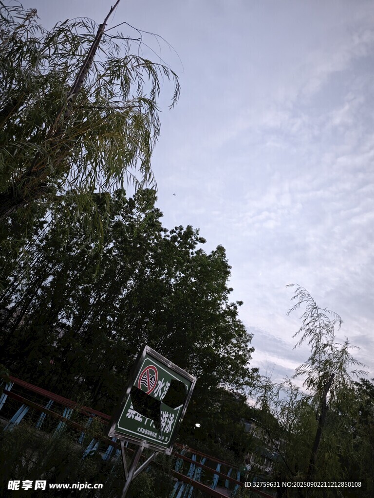 户外篮球场景与葱郁树木