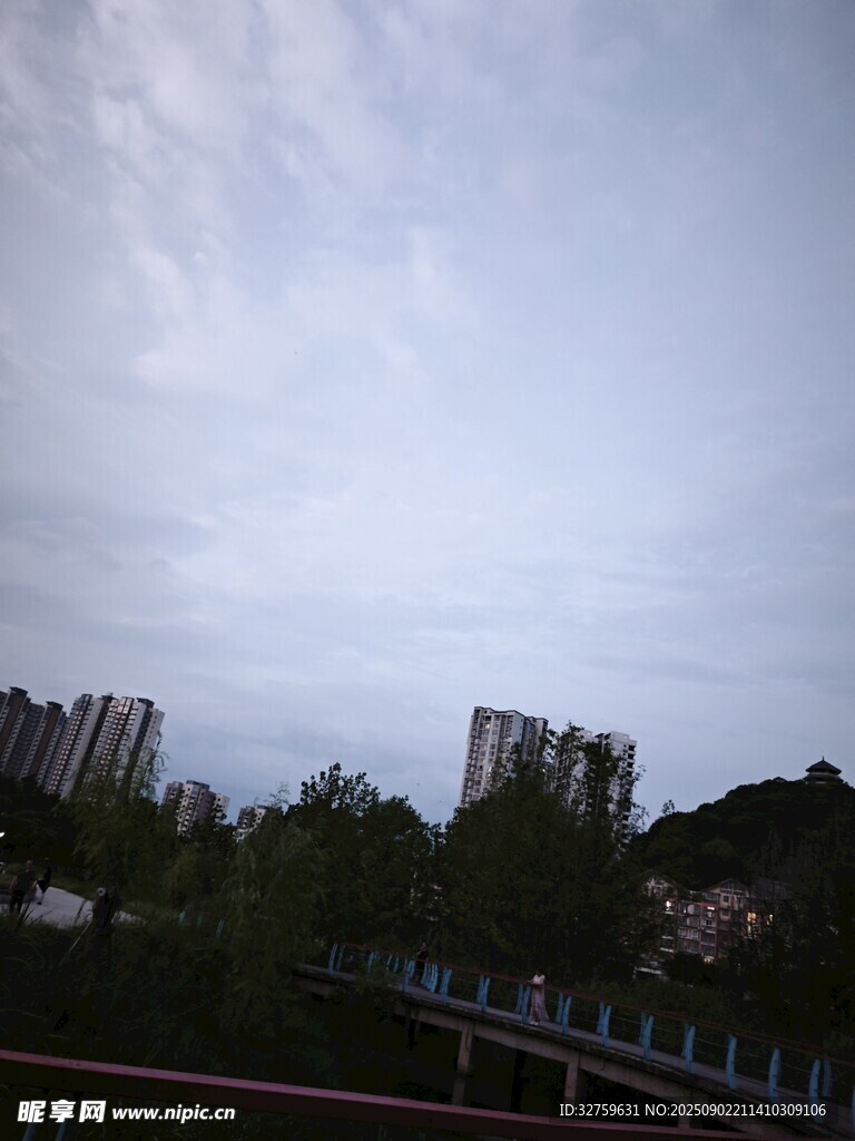 城市天际线与绿植景观
